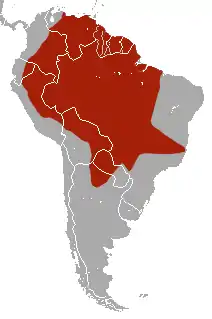 Distribución de P. maximus