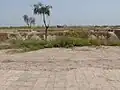 Excavación de Apadana enSusa, Irán. Las excavaciones fueron realizadas por Roland de Mecquenem, en busca de túmulos elamitas en el nivel del imperio aqueménida.