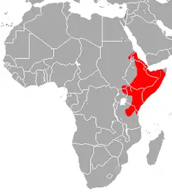 Distribución de C. cor