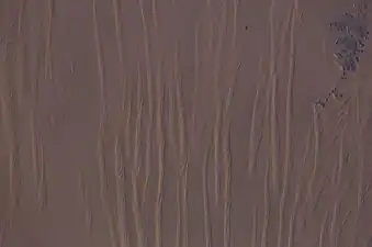 Grandes dunas lineales de seif en el Gran Mar de Arena en el suroeste de Egipto, véase desde la Estación Espacial Internacional. La distancia entre cada duna es de 1,5-2,5&nbsp;km.
