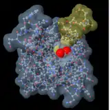 Pantallazo de una molécula en Jmol