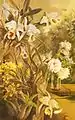 Flores. Óleo sobre tela. 100,3 x 64,8 cm.