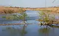 Río Kalmius en Sartaná