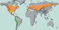 Distribución de la dorífora