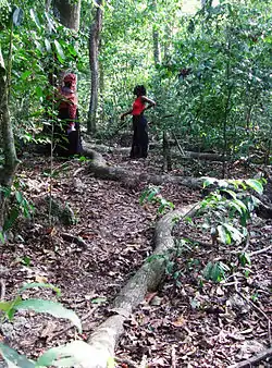 Tradiciones y prácticas vinculadas a los kayas en los bosques sagrados de los mijikendas, Kenia Kenia.
