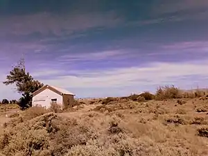 Vista del apeadero Kilómetro 11 desde el terraplén. Todavía sobrevive la vegetación tras el cierre del ramal en 1978.
