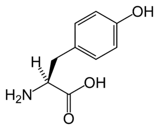 Tirosina