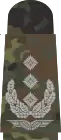 Oberst (Flecktarn)
