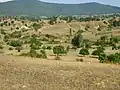 Paisaje alrededor de Vitolichté.