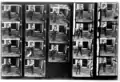 Copia de 19 fotogramas originales (numerados 41–59) por el Museo Nacional de Ciencias, Londres, 1931 (cortesía de NMPFT, Bradford).