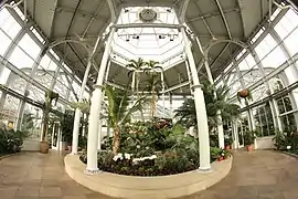 Interior del invernadero.