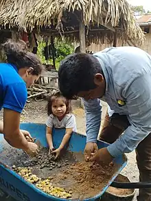 Pucallpa Perú
