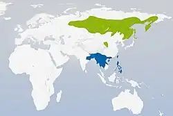 Verano InviernoUrs N. Glutz von Blotzheim, K. M. Bauer (1988). Handbuch der Vögel Mitteleuropas. ISBN 3-923527-00-4.