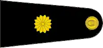 Insignia de mayor del Ejército Argentino.