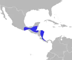 Distribución geográfica del saltarín cuelliblanco.