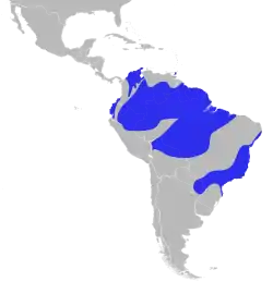 Distribución geográfica del saltarín barbiblanco.