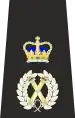 Metropolitan Police Assistant Commissioner of the Metropolis Epaulette