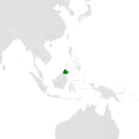 Distribución geográfica del falconete de Borneo.