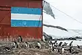 Bandera de Argentina pintada.