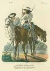 Milicia de Guazacualco