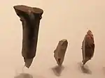 Culturas musteriense y auriñaciense, buriles de piedra utilizados para hacer incisiones en piedra y madera, Qafzeh, Hayonim, Cueva de el-Wad, 250&nbsp;000-22&nbsp;000 a.&nbsp;C. Israel