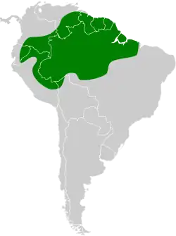 Distribución geográfica del hormiguerito alilargo.