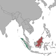 Distribución de la pantera nebulosa de Borneo (N. d. borneensis) en rojo y pantera nebulosa de Sumatra (N. d. diardi) en verde.