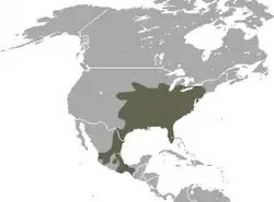 Distribución de C. parva