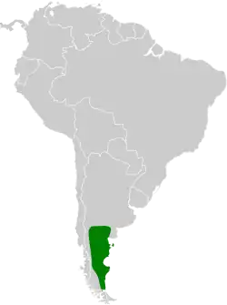 Distribución geográfica de la bandurrita patagona.