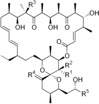 Imagen de la estructura