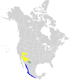 Nidificación Invernada Todo el año