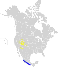 &nbsp;&nbsp;&nbsp;&nbsp;&nbsp;Nidificación &nbsp;&nbsp;&nbsp;&nbsp;&nbsp;Invernada