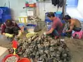 Limpieza de ostras para su venta en Lau Fau Shan, Hong Kong