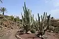Vista de la planta