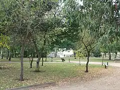 El jardín botánico Ría do Burgo-Culleredo