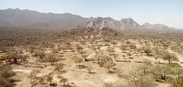 El Shincal de Quimivil desde el Cerro Aterrazado occidental