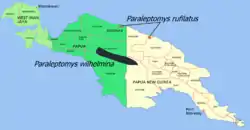 Distribution map on New Guinea. P. rufilatus is in red.