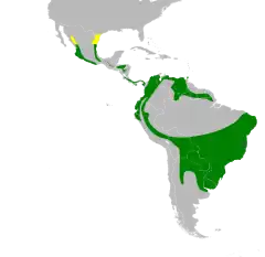 &nbsp;&nbsp;&nbsp;&nbsp;&nbsp;Nidificación &nbsp;&nbsp;&nbsp;&nbsp;&nbsp;Todo el año