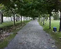 Inicio del Paseo en Estación Autobuses de Sarón