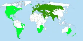 alt=Distribución:
verde oscuro, autóctono;
verde claro, introducido.