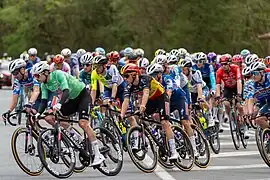 Peloton.