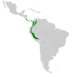 Distribución geográfica del ermitaño verde.