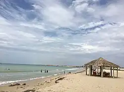 Manaure