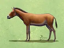 Reconstrucción en vida de P. pernix.