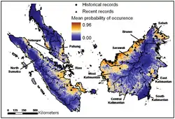 Rango descrito para P. planicepsWilting, Andreas; Hearn, Andrew J.; Mohamed, Azlan; et. al (2010). «Modelling the Species Distribution of Flat-Headed Cats (Prionailurus planiceps), an Endangered South-East Asian Small Felid» (pdf). PLOS ONE (en inglés) 5 (3). doi:10.1371/journal.pone.0009612. Consultado el 24 de octubre de 2014.