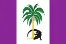 Estandarte del Presidente de la República Cooperativa de Guyana (1980-1985)