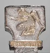 Detalle posterior superior