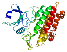 Estructura de la proteína ACVR1B. Basado en la representación PyMOL de PDB 1rw8.