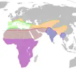 El residente parcial P. rupestris El visitante de verano P. rupestris P. concolor P. fuligula (Los colores denotan los rangos de distribución de cada especie)