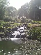 El arroyo.